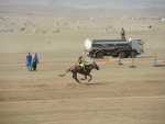 Naadam-Festival