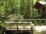 Stilt Houses, Tortuguero National Park