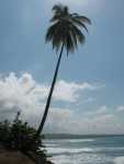 Gandoca Manzanillo National Wildlife Refuge